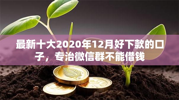 最新十大2020年12月好下款的口子，专治微信群不能借钱