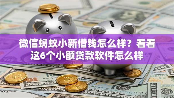 微信蚂蚁小新借钱怎么样？看看这6个小额贷款软件怎么样
