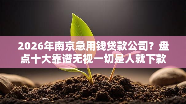 2026年南京急用钱贷款公司？盘点十大靠谱无视一切是人就下款平台