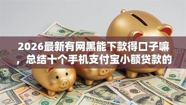2026最新有网黑能下款得口子嘛，总结十个手机支付宝小额贷款的平台！