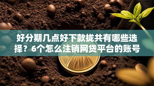 好分期几点好下款拢共有哪些选择？6个怎么注销网贷平台的账号详解