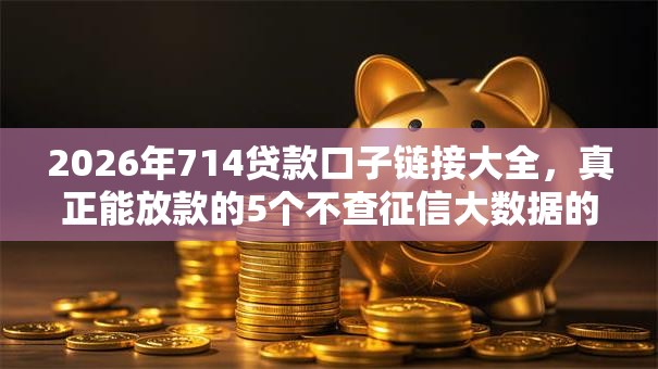 2026年714贷款口子链接大全，真正能放款的5个不查征信大数据的秒下款平台推荐