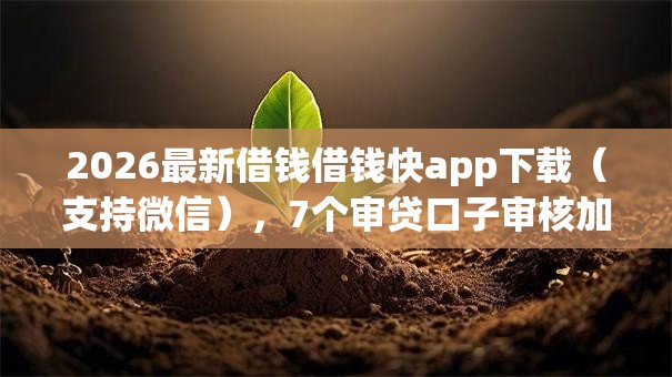 2026最新借钱借钱快app下载（支持微信），7个审贷口子审核加快的口子无私分享