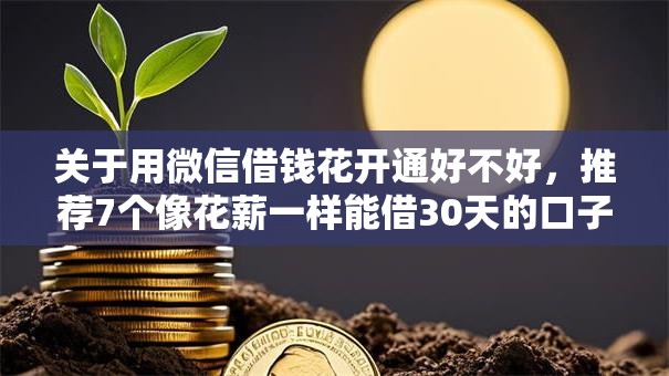 关于用微信借钱花开通好不好，推荐7个像花薪一样能借30天的口子给你
