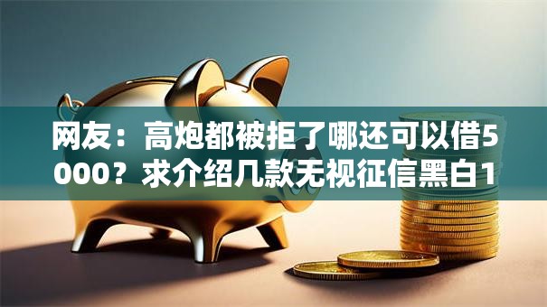 网友:高炮都被拒了哪还可以借5000?求介绍几款无视征信黑白100%秒下网贷口子 网友:高炮都被拒了哪还可以借5000?求介绍几款无视征信黑白100%秒下网贷口子