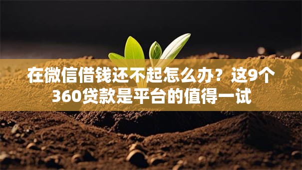 在微信借钱还不起怎么办？这9个360贷款是平台的值得一试