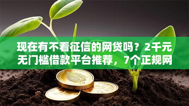 现在有不看征信的网贷吗?2千元无门槛借款平台推荐,7个正规网络贷款平台盘点 现在有不看征信的网贷吗?2千元无门槛借款平台推荐,7个正规网络贷款平台盘点
