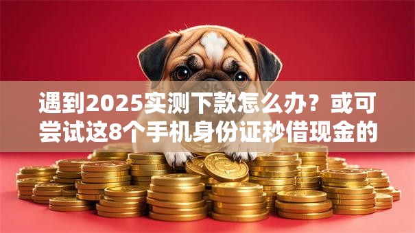 遇到2025实测下款怎么办?或可尝试这8个手机身份证秒借现金的口子 遇到2025实测下款怎么办?或可尝试这8个手机身份证秒借现金的口子