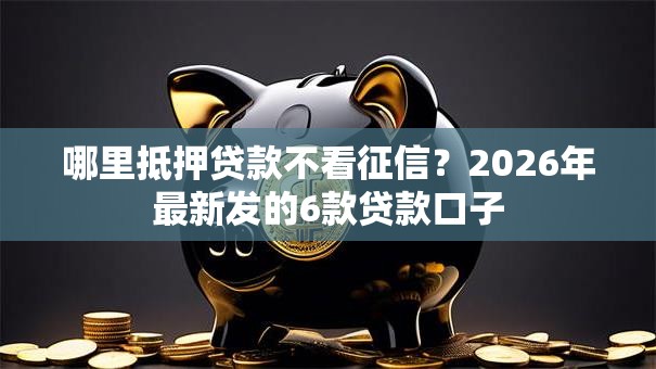 哪里抵押贷款不看征信？2026年最新发的6款贷款口子