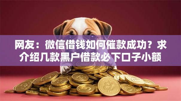 网友：微信借钱如何催款成功？求介绍几款黑户借款必下口子小额贷款