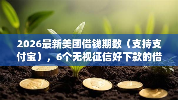 2026最新美团借钱期数（支持支付宝），6个无视征信好下款的借款app无私分享