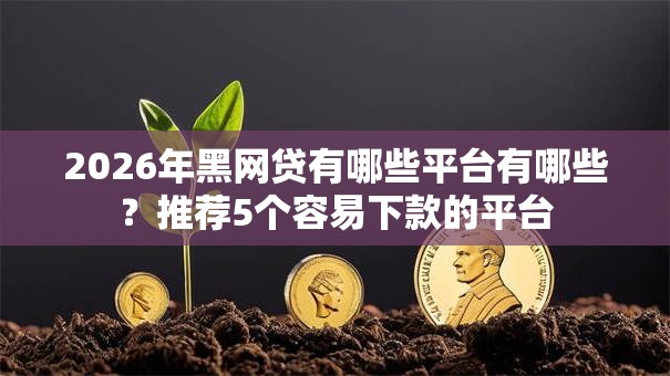 2026年黑网贷有哪些平台有哪些？推荐5个容易下款的平台