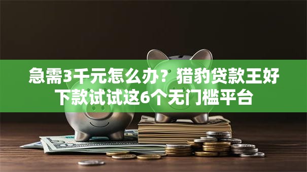 急需3千元怎么办？猎豹贷款王好下款试试这6个无门槛平台