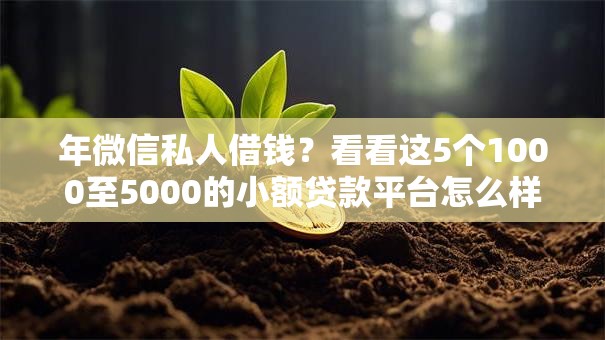年微信私人借钱？看看这5个1000至5000的小额贷款平台怎么样