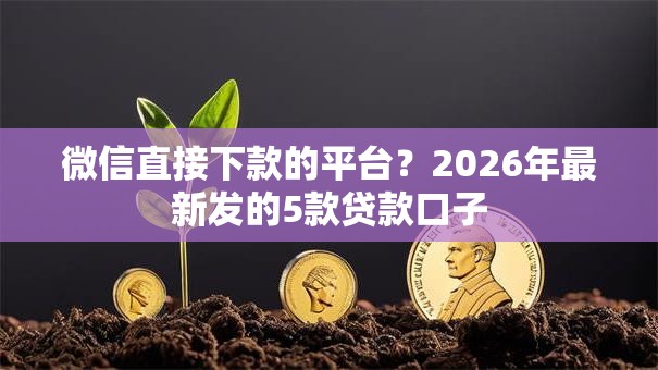 微信直接下款的平台？2026年最新发的5款贷款口子