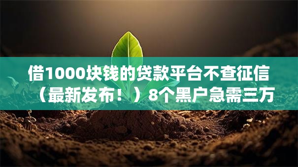 借1000块钱的贷款平台不查征信（最新发布！）8个黑户急需三万秒到的的app