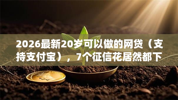 2026最新20岁可以做的网贷（支持支付宝），7个征信花居然都下款了的app无私分享