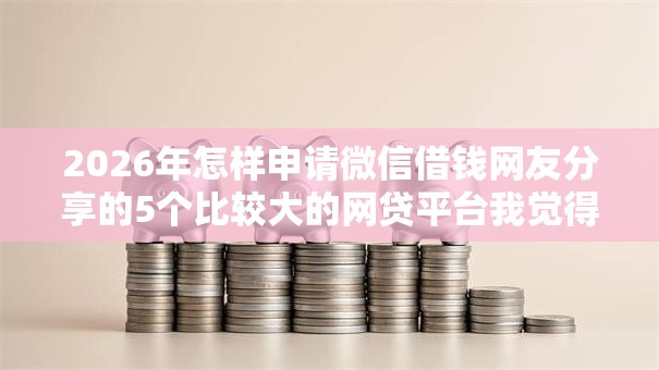 2026年怎样申请微信借钱网友分享的5个比较大的网贷平台我觉得不错！