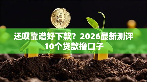 还呗靠谱好下款?2026最新测评10个贷款撸口子 还呗靠谱好下款?2026最新测评10个贷款撸口子