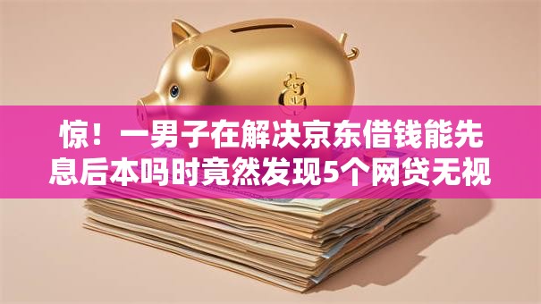 惊！一男子在解决京东借钱能先息后本吗时竟然发现5个网贷无视不查征信平台，事后分享了出来