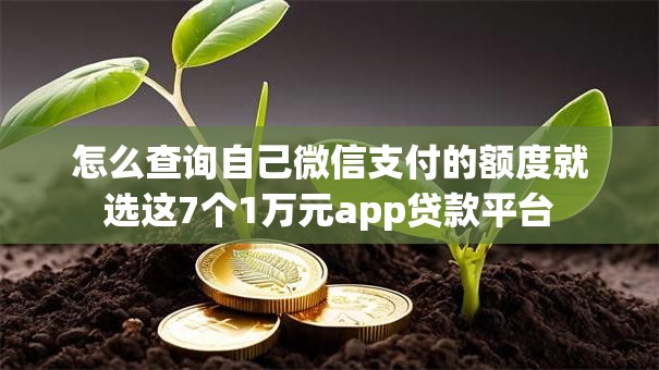 怎么查询自己微信支付的额度就选这7个1万元app贷款平台