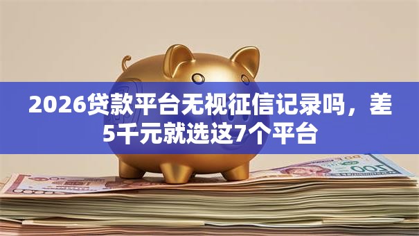 2026贷款平台无视征信记录吗，差5千元就选这7个平台