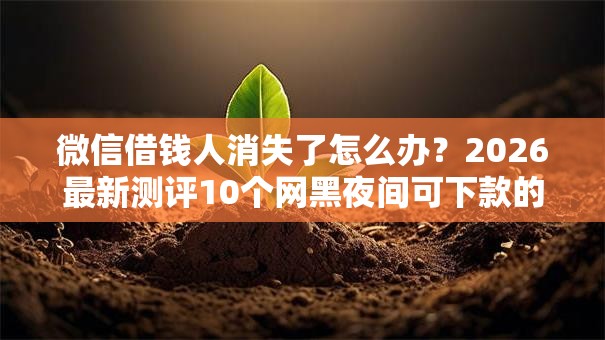 微信借钱人消失了怎么办？2026最新测评10个网黑夜间可下款的口子