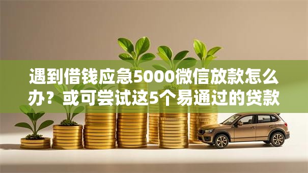 遇到借钱应急5000微信放款怎么办？或可尝试这5个易通过的贷款平台