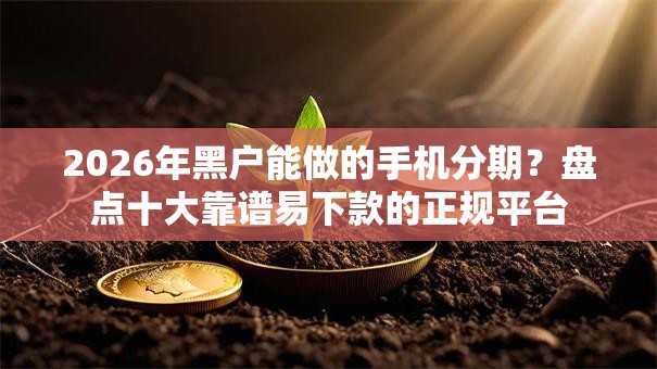 2026年黑户能做的手机分期？盘点十大靠谱易下款的正规平台