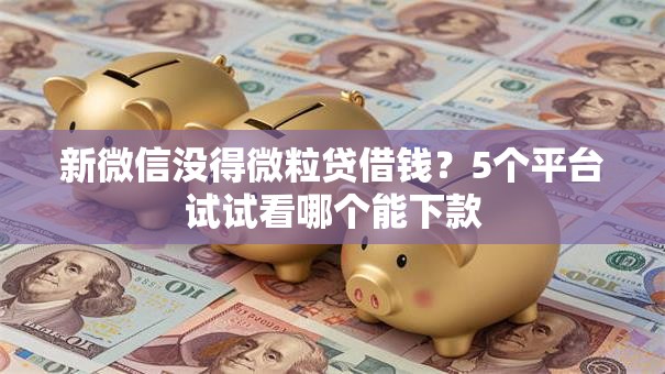 新微信没得微粒贷借钱？5个平台试试看哪个能下款
