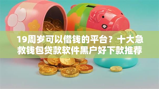 19周岁可以借钱的平台？十大急救钱包贷款软件黑户好下款推荐