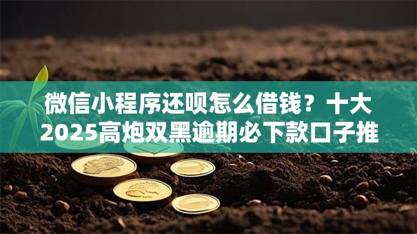 微信小程序还呗怎么借钱？十大2025高炮双黑逾期必下款口子推荐