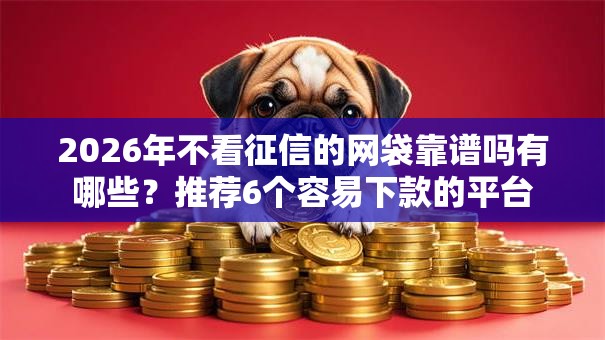 2026年不看征信的网袋靠谱吗有哪些？推荐6个容易下款的平台