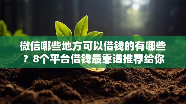 微信哪些地方可以借钱的有哪些？8个平台借钱最靠谱推荐给你