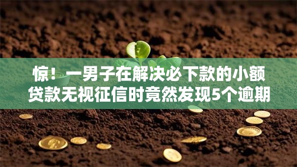 惊！一男子在解决必下款的小额贷款无视征信时竟然发现5个逾期了在平台可以借到钱，事后分享了出来