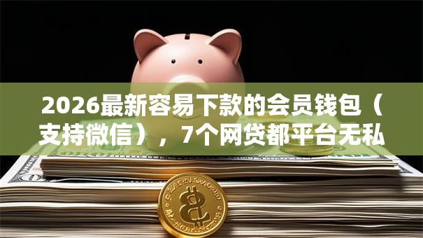 2026最新容易下款的会员钱包（支持微信），7个网贷都平台无私分享