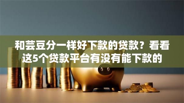 和芸豆分一样好下款的贷款？看看这5个贷款平台有没有能下款的