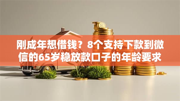 刚成年想借钱？8个支持下款到微信的65岁稳放款口子的年龄要求