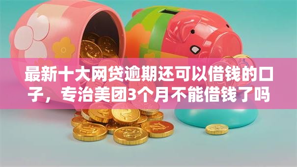 最新十大网贷逾期还可以借钱的口子，专治美团3个月不能借钱了吗