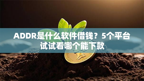 ADDR是什么软件借钱？5个平台试试看哪个能下款