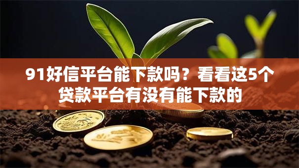 91好信平台能下款吗？看看这5个贷款平台有没有能下款的