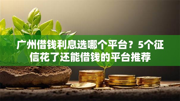广州借钱利息选哪个平台？5个征信花了还能借钱的平台推荐