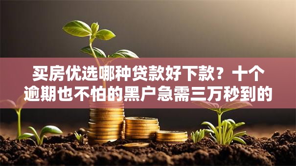 买房优选哪种贷款好下款？十个逾期也不怕的黑户急需三万秒到的的软件
