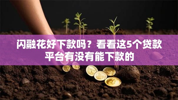 闪融花好下款吗？看看这5个贷款平台有没有能下款的