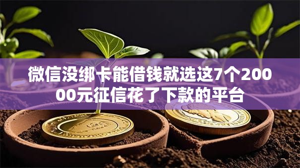 微信没绑卡能借钱就选这7个20000元征信花了下款的平台 微信没绑卡能借钱就选这7个20000元征信花了下款的平台