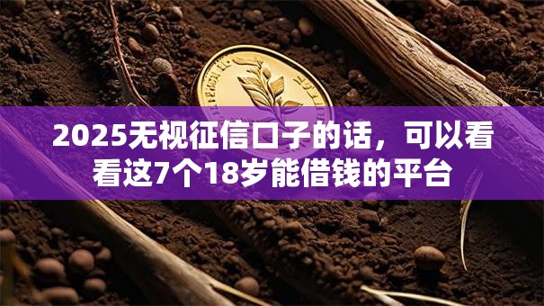 2025无视征信口子的话，可以看看这7个18岁能借钱的平台