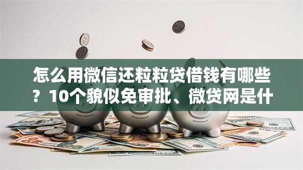 怎么用微信还粒粒贷借钱有哪些？10个貌似免审批、微贷网是什么网贷平台合集