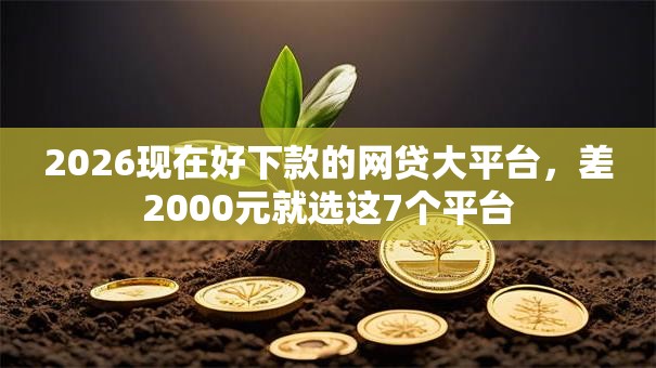 2026现在好下款的网贷大平台，差2000元就选这7个平台