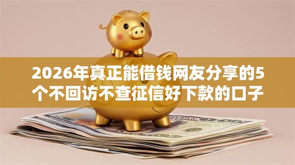2026年真正能借钱网友分享的5个不回访不查征信好下款的口子我觉得不错！