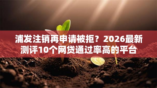 浦发注销再申请被拒？2026最新测评10个网贷通过率高的平台